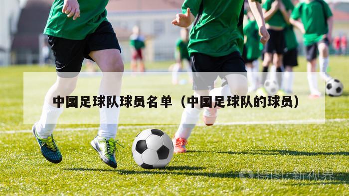 中国足球队球员名单（中国足球队的球员）